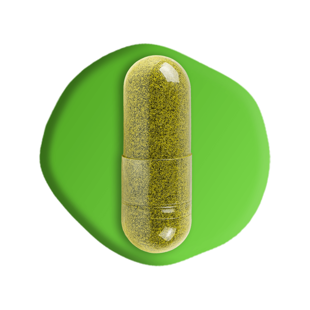 Vitamin D3 and K2 MK7 Capsules – Bone & Immune Support by vh1be