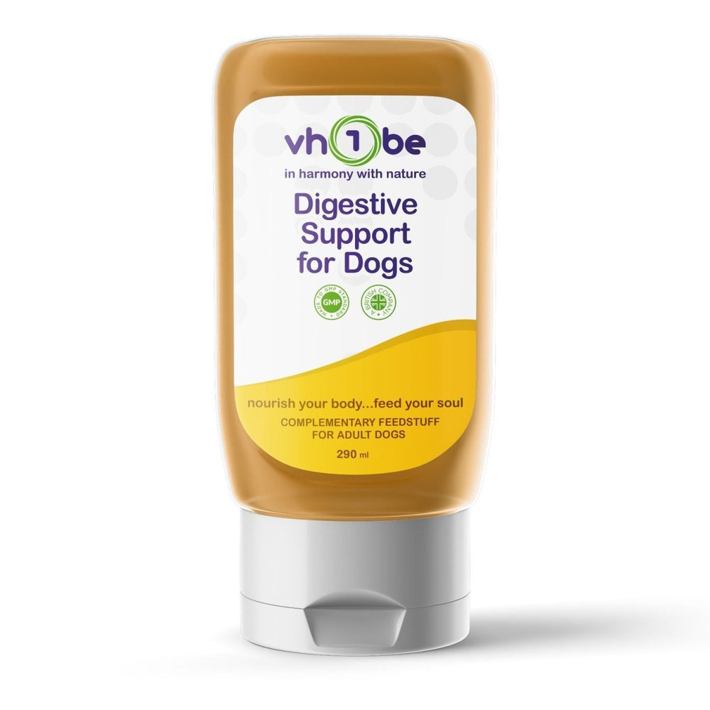 vh1be Digestive Support for Dogs – Gut Health & Wellbeing Supplement