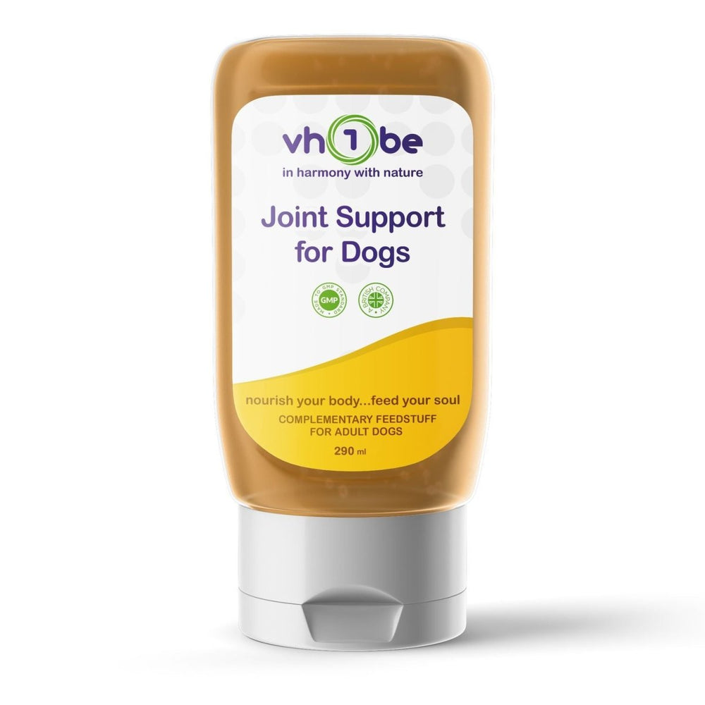 Joint Support for Dogs – Ayurvedic & Scientific Beef Gravy Formula by vh1be