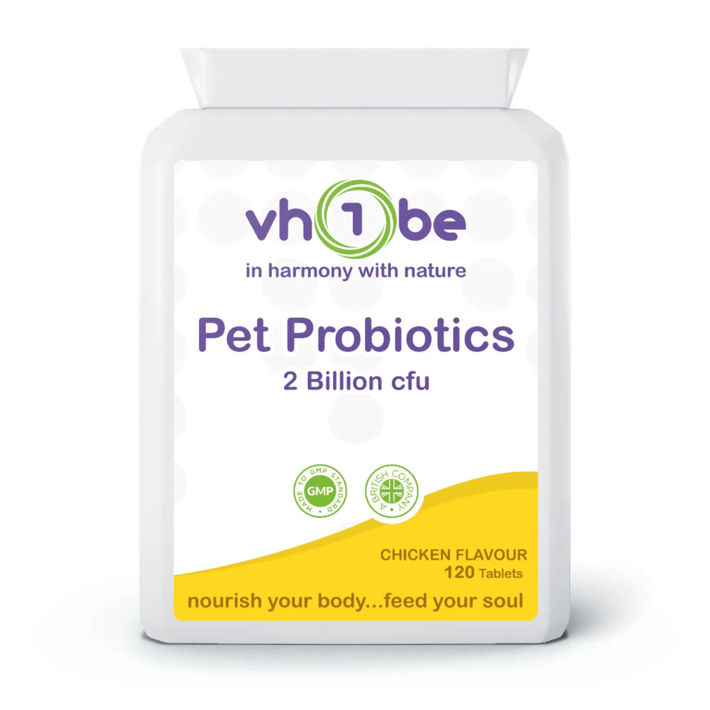 vh1be Pet Probiotics 2 Billion CFU | Digestive Support for Dogs