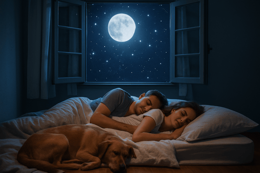 Magnesium for Sleep | Ayurvedic & Scientific – vh1be