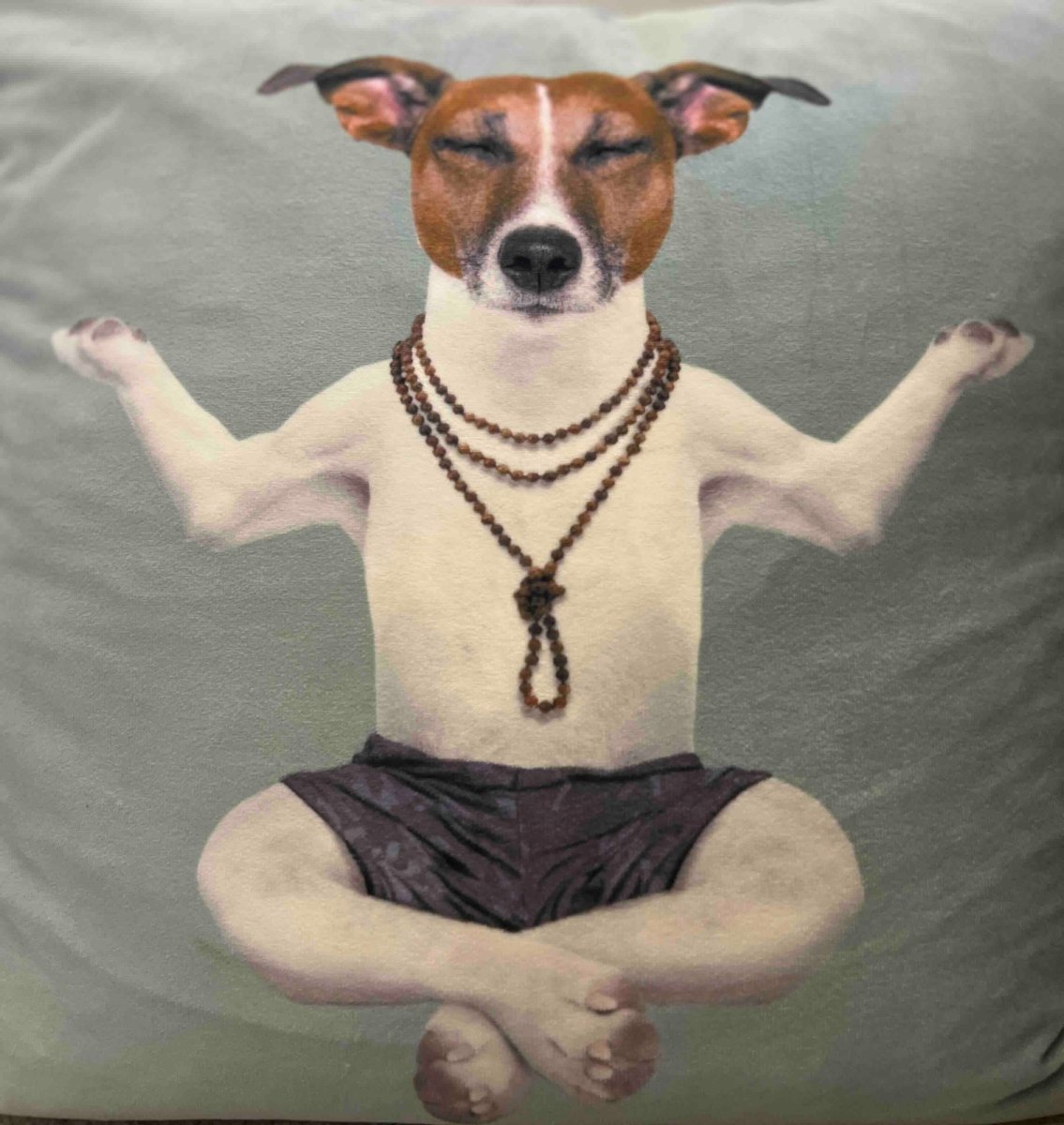 Pets Supplements | Natural Ayurvedic Supplements for Dogs & Cats - vh1be