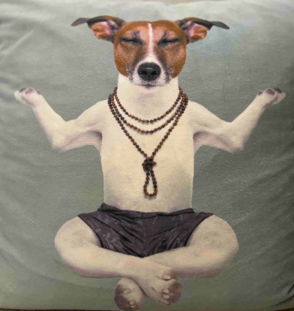 vh1be Pet Supplements | Ayurvedic & scientific formulas for dogs & cats | Supports joints, energy & vitality