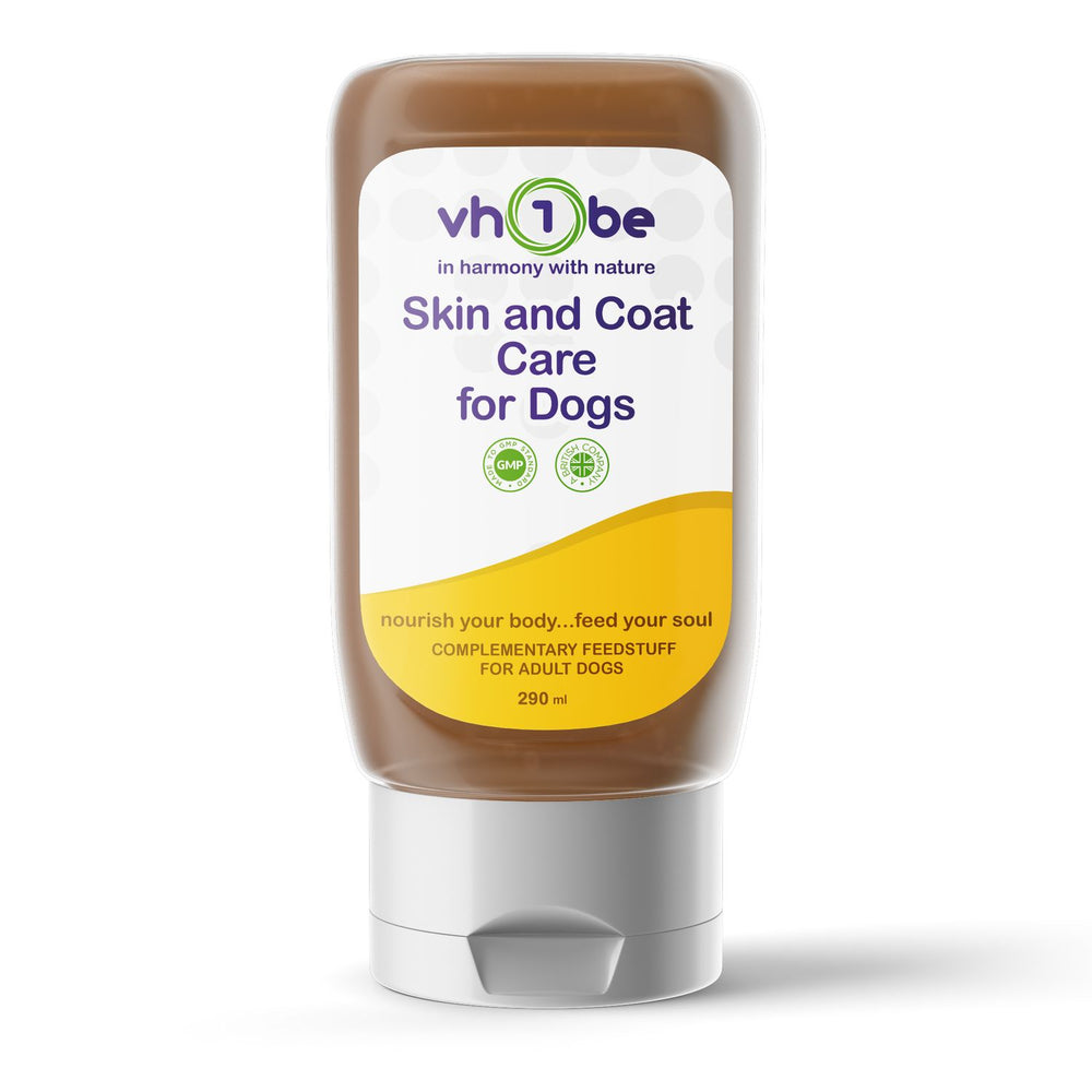 Skin and Coat Care for Dogs Beef Gravy | Supports general wellbeing – vh1be