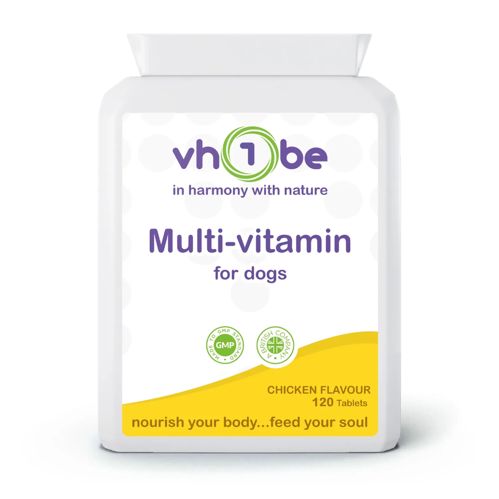 Multi vitamin for Dogs 120 Chicken Flavour Tablets | Tablets | Supports everyday wellbeing – vh1be