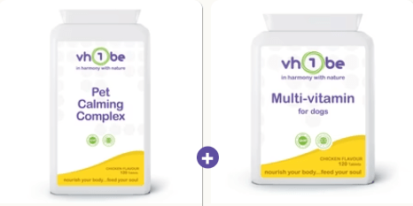Calm Companion Pup Pack | vh1be by vh1be – Ayurvedic & Scientific Wellness Drop made in the UK | behaviour