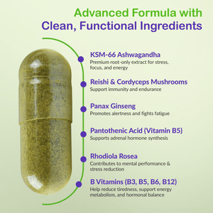 Cortisol Balance with KSM - 66® Ashwagandha | Stress Support – vh1be by vh1be – Ayurvedic & Scientific Wellness made in the UK |