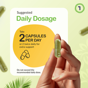 Urinary Flow & Biofilm Support – 60 Capsules | vh1be by vh1be – Ayurvedic & Scientific Wellness made in the UK |