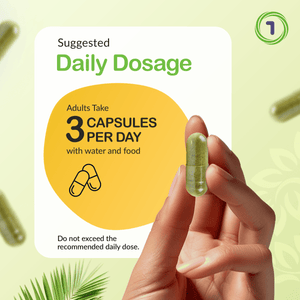 Water Balance Complex for Women | 90 Capsules | Supports Energy – vh1be by vh1be – Ayurvedic & Scientific Wellness made in the UK |